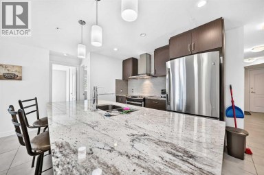 1003, 303 13 Avenue SW Calgary Alberta photo 18
