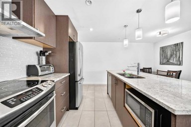 1003, 303 13 Avenue SW Calgary Alberta photo 24