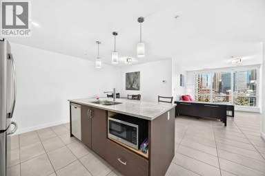 1003, 303 13 Avenue SW Calgary Alberta photo 25