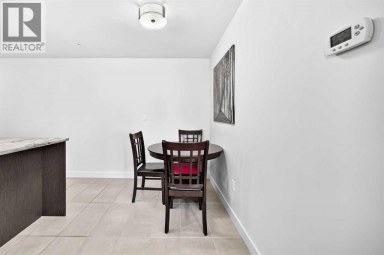 1003, 303 13 Avenue SW Calgary Alberta photo 27