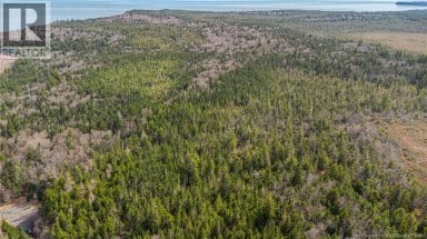 Lot C Old Shore Road Tynemouth Creek New Brunswick photo 6