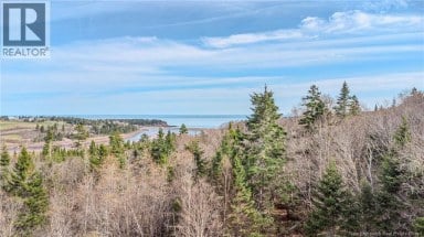 Lot C Old Shore Road Tynemouth Creek New Brunswick photo 7