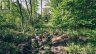 343 CHURCH ROAD, Stone Mills (stone Mills), Ontario, K0K1Z0 (ID X13240122)