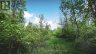 343 CHURCH ROAD, Stone Mills (stone Mills), Ontario, K0K1Z0 (ID X13240122)