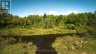 343 CHURCH ROAD, Stone Mills (stone Mills), Ontario, K0K1Z0 (ID X13240122)