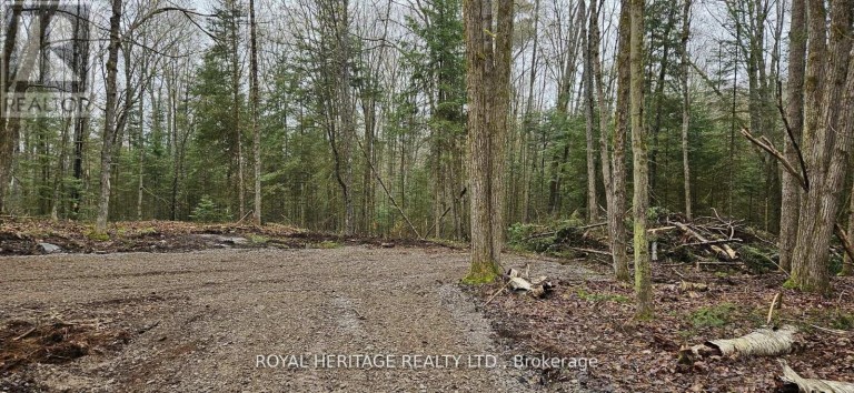 0B REID STREET, Trent Lakes, Ontario, K0M2A0