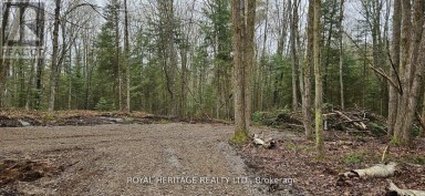 0B REID STREET Trent Lakes Ontario photo 3