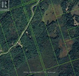 0B REID STREET Trent Lakes Ontario photo 4