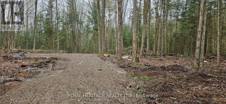 0A REID STREET, Trent Lakes, Ontario, K0M2A0