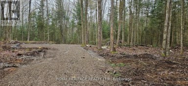 0A REID STREET Trent Lakes Ontario photo 4