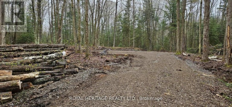 0A REID STREET, Trent Lakes, Ontario, K0M2A0