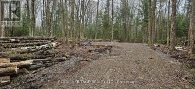 0A REID STREET Trent Lakes Ontario photo 5