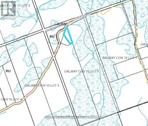 0A REID STREET Trent Lakes Ontario photo 6