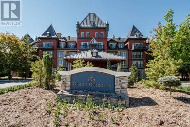 353 - 156 JOZO WEIDER BOULEVARD Blue Mountains Ontario photo 19