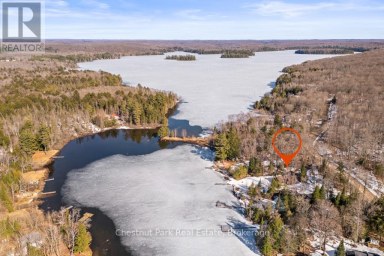 893 RELATIVE ROAD Armour Ontario photo 40