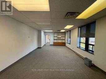 201 - 118 QUEEN STREET W Brampton (Downtown Brampton) Ontario photo 15