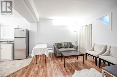 LOWER - 296 WINTERBERRY DRIVE Hamilton (Stoney Creek) Ontario photo 9