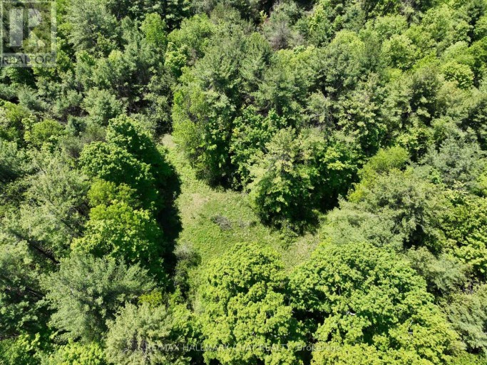 1676 OLD SECOND ROAD S, Springwater, Ontario, L9X1P1