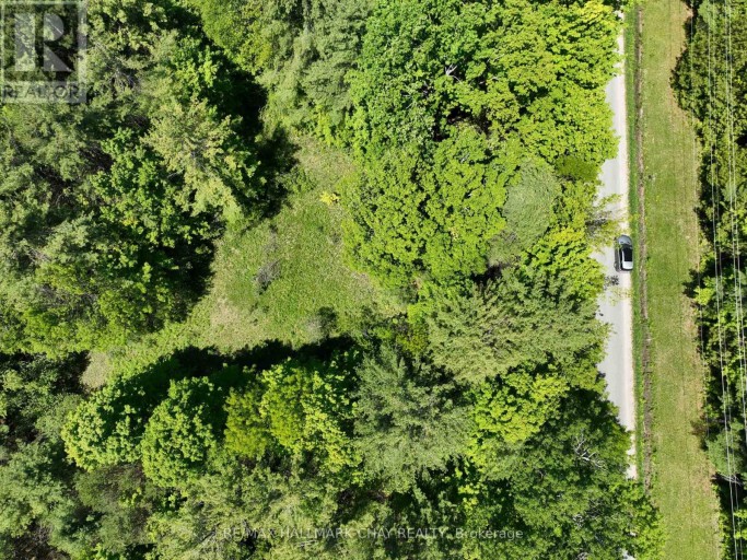 1676 OLD SECOND ROAD S, Springwater, Ontario, L9X1P1