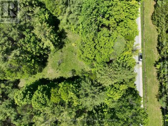 1676 OLD SECOND ROAD S Springwater Ontario photo 10