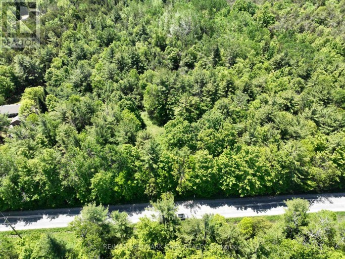 1676 OLD SECOND ROAD S, Springwater, Ontario, L9X1P1
