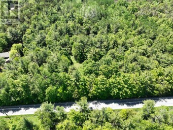1676 OLD SECOND ROAD S Springwater Ontario photo 12
