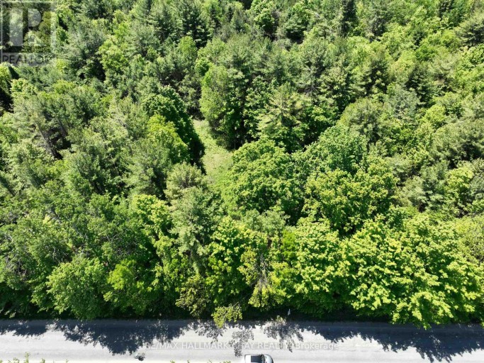 1676 OLD SECOND ROAD S, Springwater, Ontario, L9X1P1