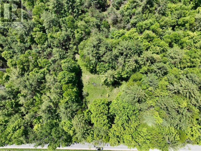 1676 OLD SECOND ROAD S, Springwater, Ontario, L9X1P1