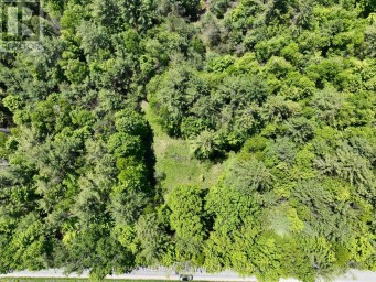1676 OLD SECOND ROAD S Springwater Ontario photo 3