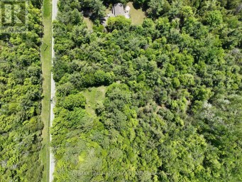 1676 OLD SECOND ROAD S Springwater Ontario photo 4