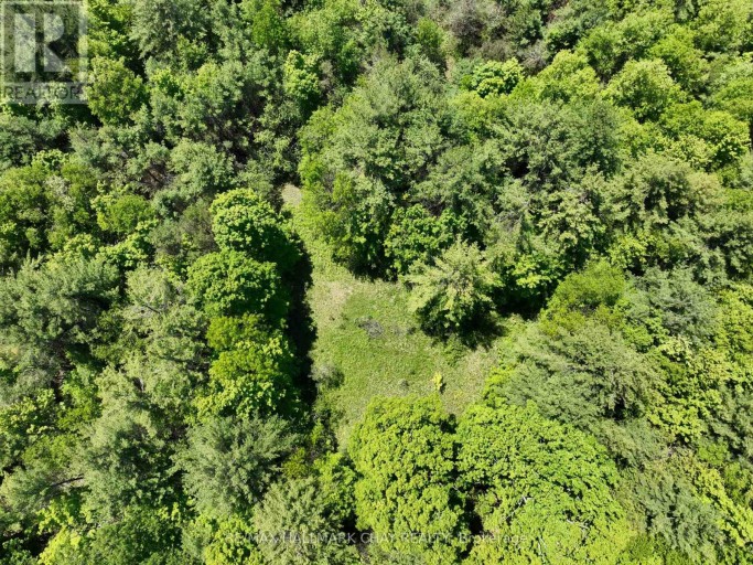1676 OLD SECOND ROAD S, Springwater, Ontario, L9X1P1