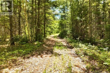 8353 Route 10 Cumberland Bay New Brunswick photo 25