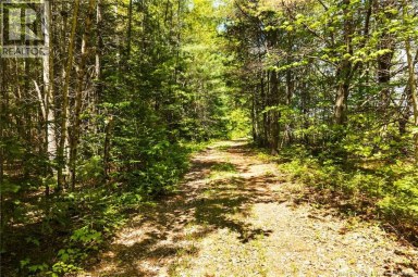 8353 Route 10 Cumberland Bay New Brunswick photo 26