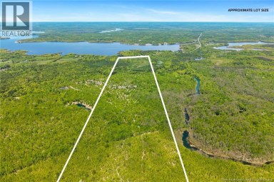 8353 Route 10 Cumberland Bay New Brunswick photo 41