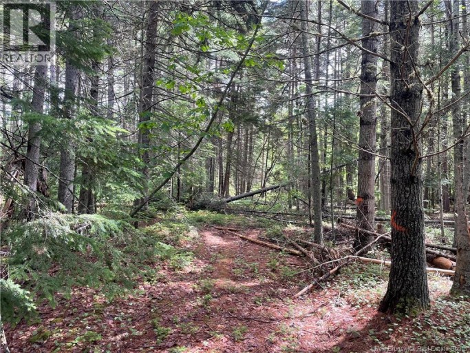 8353 Route 10, Cumberland Bay, New Brunswick, O0O0O0