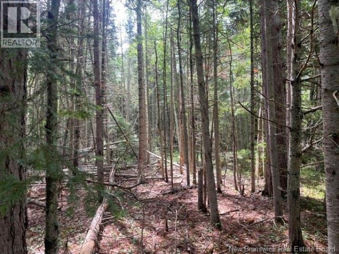 8353 Route 10, Cumberland Bay, New Brunswick, O0O0O0