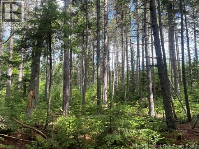 8353 Route 10, Cumberland Bay, New Brunswick, O0O0O0
