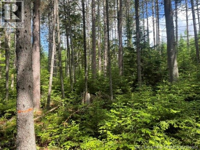 8353 Route 10, Cumberland Bay, New Brunswick, O0O0O0