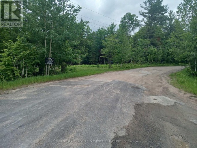 1005 PORKYS ROAD, Minden Hills (Snowdon), Ontario, K0M2K0