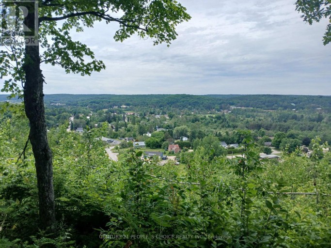 1005 PORKYS ROAD, Minden Hills (Snowdon), Ontario, K0M2K0