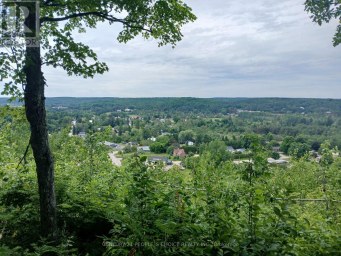 1005 PORKYS ROAD Minden Hills (Snowdon) Ontario photo 10