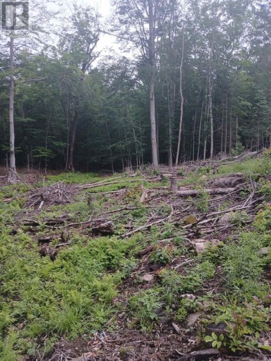 1005 PORKYS ROAD, Minden Hills (Snowdon), Ontario, K0M2K0