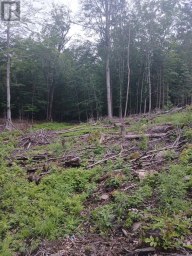 1005 PORKYS ROAD Minden Hills (Snowdon) Ontario photo 13