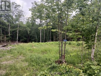 1005 PORKYS ROAD Minden Hills (Snowdon) Ontario photo 14