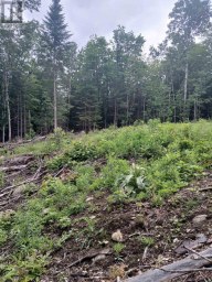 1005 PORKYS ROAD Minden Hills (Snowdon) Ontario photo 15