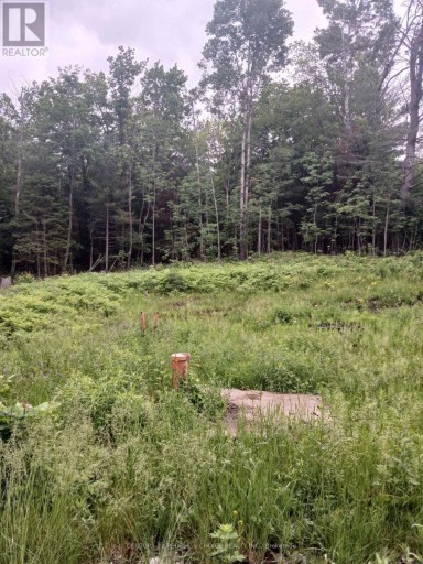 1005 PORKYS ROAD, Minden Hills (Snowdon), Ontario, K0M2K0