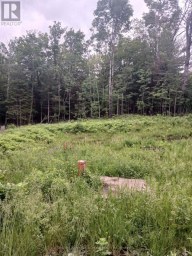1005 PORKYS ROAD Minden Hills (Snowdon) Ontario photo 16