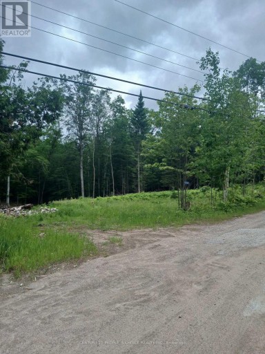 1005 PORKYS ROAD, Minden Hills (Snowdon), Ontario, K0M2K0