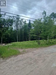 1005 PORKYS ROAD Minden Hills (Snowdon) Ontario photo 3