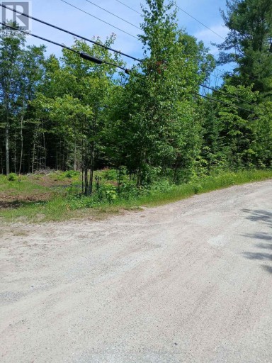 1005 PORKYS ROAD, Minden Hills (Snowdon), Ontario, K0M2K0